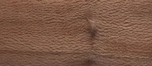 Maserung Platane – Furnierbild